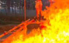 FB_IMG_1764507865279