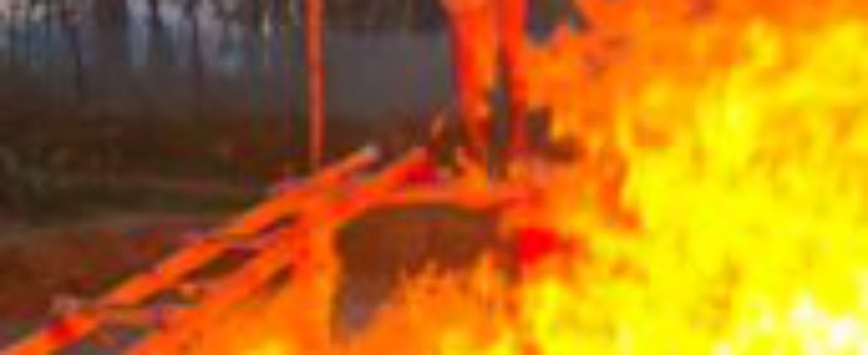 FB_IMG_1764507865279