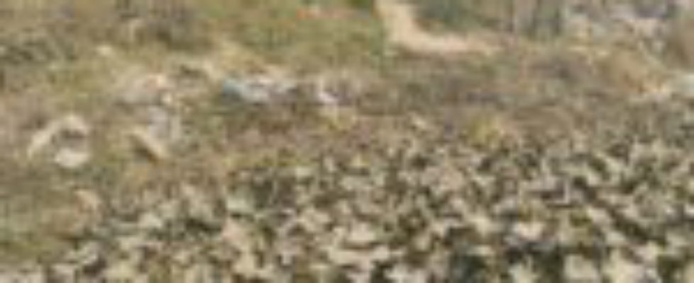 FB_IMG_1769424877959